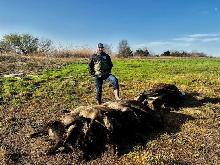 277335405 7032247813516191 3827163869330445823 n 768x576