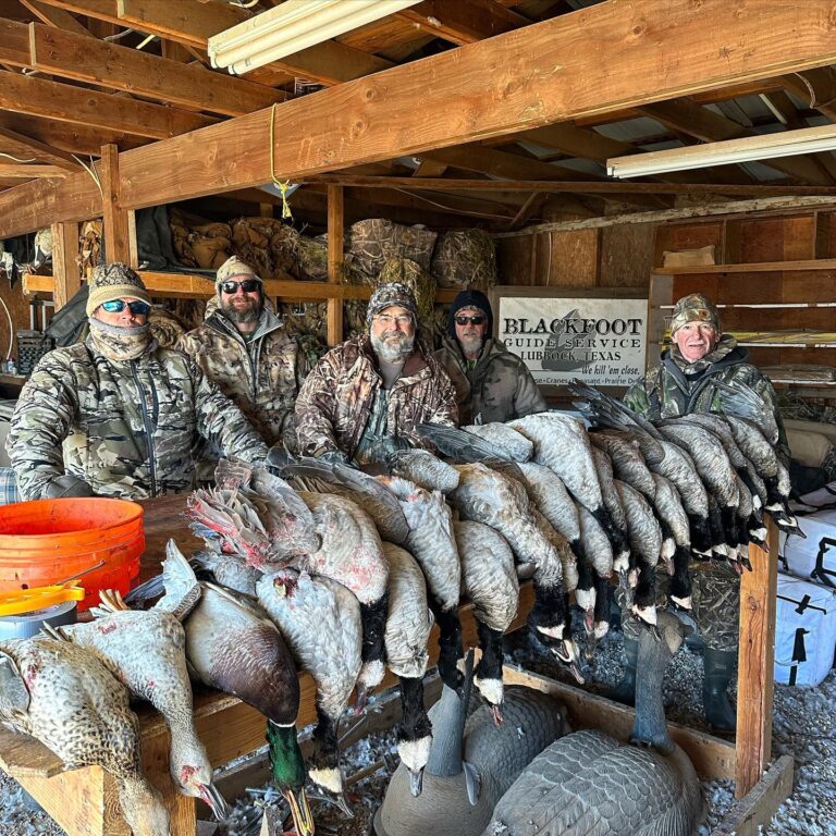 346992330 616600810354752 5213691699066241605 n 768x768